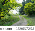 A road surrounded by green 139637258