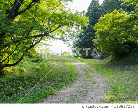 綠色環繞的道路 綠色環繞的道路 139637258