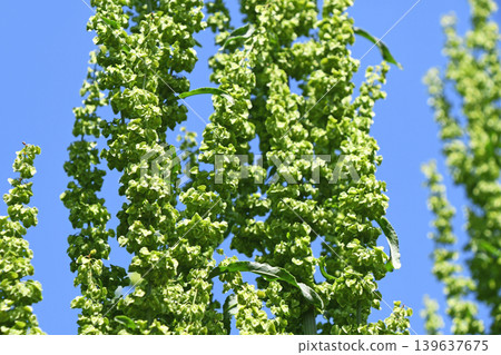 Blue sky and creaks 139637675