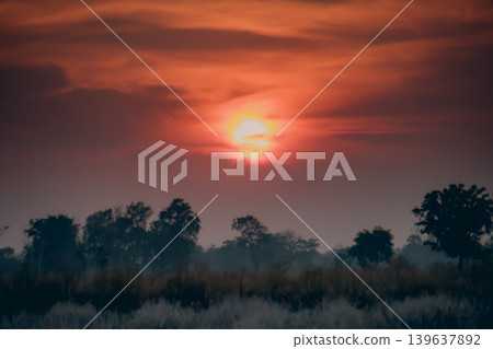 Sunset sky over silhouette tree line with orange cloud and calm landscape Sunset sky over silhouette tree line with orange cloud and calm landscape 139637892