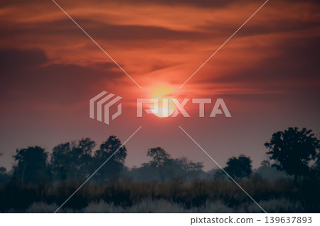 Sunset sky over silhouette tree line with warm red cloud and misty horizon, peaceful nature landscape at dusk Sunset sky over silhouette tree line with warm red cloud and misty horizon, peaceful nature landscape at dusk 139637893