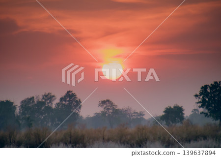 Sunrise over misty field with glowing red sky and silhouetted tree line in calm rural landscape 139637894