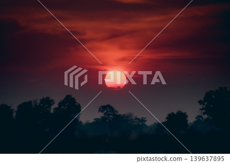 Sunset sky red orange sun silhouette tree horizon evening landscape with calm mood Sunset sky red orange sun silhouette tree horizon evening landscape with calm mood 139637895