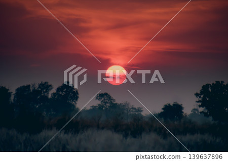 Sunset sky red sun silhouette tree dark landscape cloud horizon dusk twilight nature evening Sunset sky red sun silhouette tree dark landscape cloud horizon dusk twilight nature evening 139637896