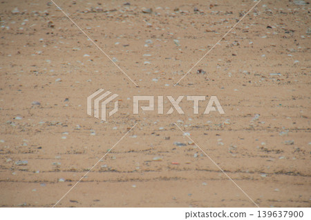 Beige sand ground with small stone and rough texture for natural background surface 139637900