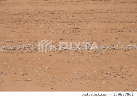 Sandy beach with scattered shell and pebble texture Sandy beach with scattered shell and pebble texture 139637901