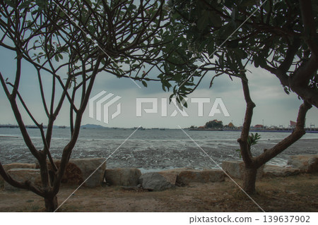 Coastal landscape with tree silhouette, rocky shore, calm sea, cloudy sky, distant island, waterfront view Coastal landscape with tree silhouette, rocky shore, calm sea, cloudy sky, distant island, waterfront view 139637902