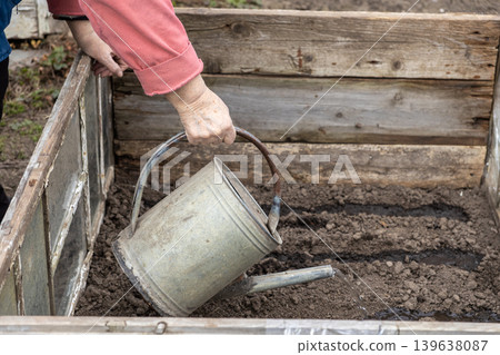 A senior gardener waters soil in a rustic wooden raised bed using a vintage metal can to emphasize sustainable organic home farming and nature cultivation for local food self-sufficiency A senior gardener waters soil in a rustic wooden raised bed using a vintage metal can to emphasize sustainable organic home farming and nature cultivation for local food self-sufficiency 139638087