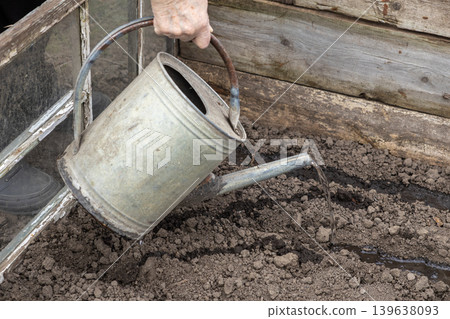 A senior person holds a metal watering can to hydrate soil in a wooden greenhouse, fostering growth and sustainable gardening practices for seasonal vegetable cultivation in a home backyard A senior person holds a metal watering can to hydrate soil in a wooden greenhouse, fostering growth and sustainable gardening practices for seasonal vegetable cultivation in a home backyard 139638093