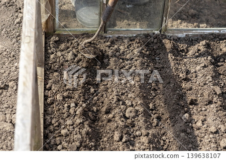 A gardener uses a small hand hoe to prepare rich soil for planting in a greenhouse, effectively illustrating organic vegetable cultivation and essential sustainable small-scale farming practices A gardener uses a small hand hoe to prepare rich soil for planting in a greenhouse, effectively illustrating organic vegetable cultivation and essential sustainable small-scale farming practices 139638107