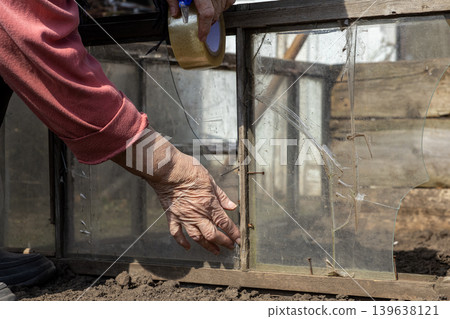 A senior woman diligently repairs a broken greenhouse window with adhesive tape, highlighting household maintenance, manual labor, resourcefulness, and sustainable gardening in her backyard A senior woman diligently repairs a broken greenhouse window with adhesive tape, highlighting household maintenance, manual labor, resourcefulness, and sustainable gardening in her backyard 139638121
