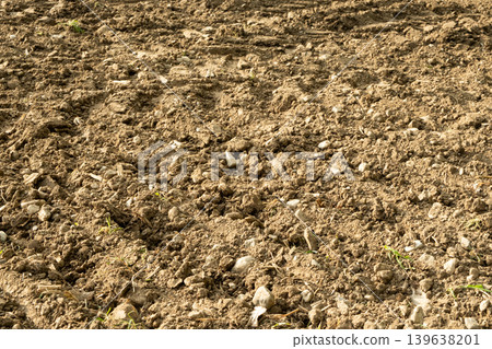 Detailed texture of dry earth with grey stones. Rocky soil background Detailed texture of dry earth with grey stones. Rocky soil background 139638201