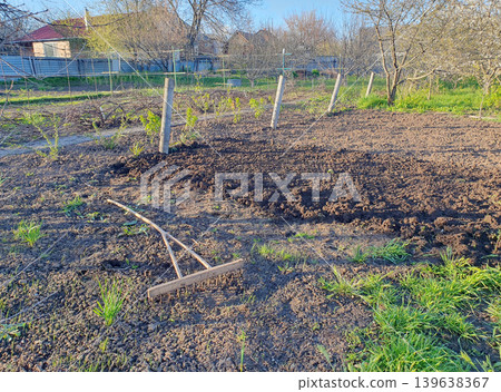 Spring gardening work: plowed land, wooden rake on the soil in a private garden. Preparation for sowing, agriculture Spring gardening work: plowed land, wooden rake on the soil in a private garden. Preparation for sowing, agriculture 139638367