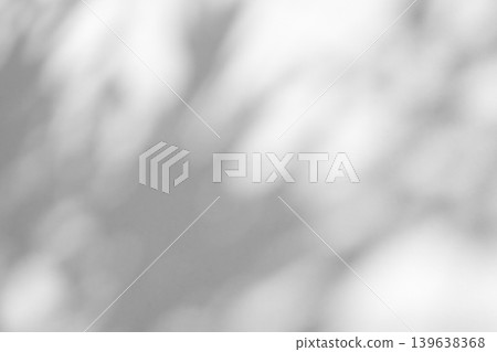 Abstract natural tree branch leaves shadow on white wall background Abstract natural tree branch leaves shadow on white wall background 139638368