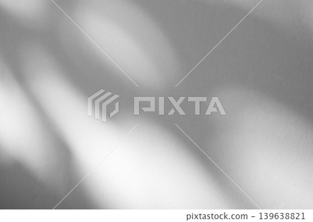Abstract natural tree branch leaves shadow on white wall background Abstract natural tree branch leaves shadow on white wall background 139638821