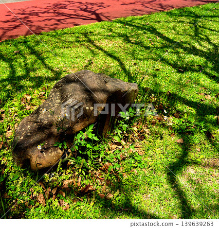 Shadows of winter desolation Shadows of winter desolation 139639263