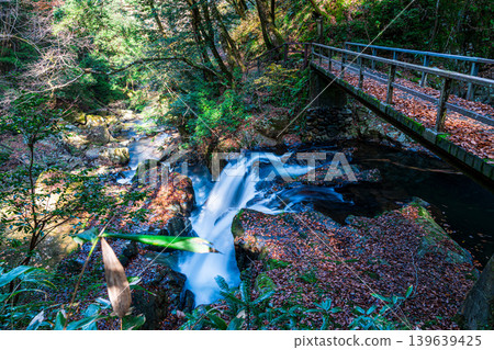 [Japan's Top 100 Waterfalls] Ryuzu Yaetaki Waterfall: Yaetaki Waterfall in Late Autumn, Ubataki Waterfall and Walking Trail 2, Unnan City, Shimane Prefecture 139639425