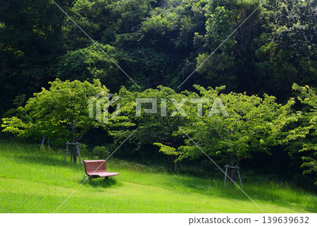 海邊觀音崎公園 海邊觀音崎公園 139639632