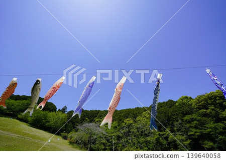 Carp streamers swimming in the sky Carp streamers swimming in the sky 139640058