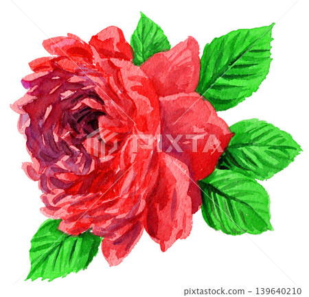 一幅水彩畫的紅玫瑰(26514像素,7像素) 一幅水彩畫的紅玫瑰(26514像素,7像素) 139640210