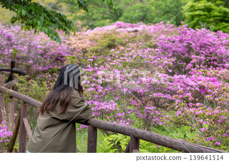 一位女士站在雲仙池之原公園的觀景台上,凝視著盛開的杜鵑花。 一位女士站在雲仙池之原公園的觀景台上,凝視著盛開的杜鵑花。 139641514
