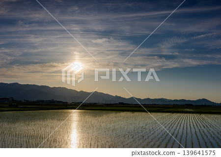 愛媛縣十二平原插秧後的稻田和傍晚景色 愛媛縣十二平原插秧後的稻田和傍晚景色 139641575