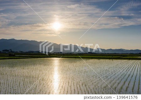 Rice paddies after planting and the evening scenery in the Dozen Plain, Ehime Prefecture Rice paddies after planting and the evening scenery in the Dozen Plain, Ehime Prefecture 139641576