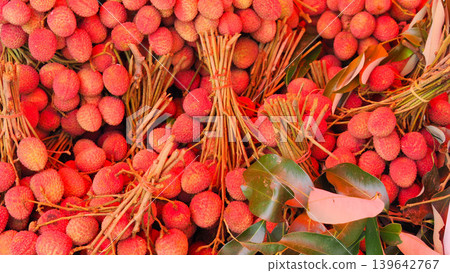 Fresh organic lychee fruits in bunches, ripe red sweet tropical lychees harvest Fresh organic lychee fruits in bunches, ripe red sweet tropical lychees harvest 139642767
