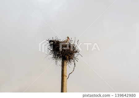 Solitary rural scene. Minimalist composition capturing seasonal movement and peaceful rural ambiance 139642980