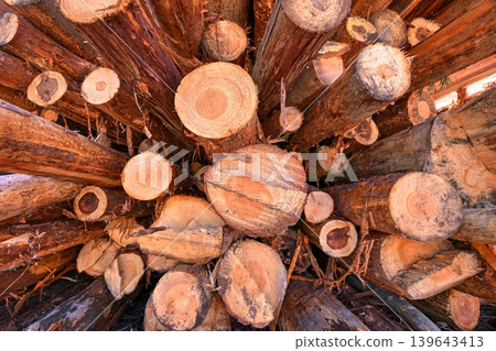 Thinned timber piled up Thinned timber piled up 139643413