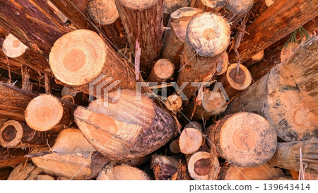 Thinned timber piled up Thinned timber piled up 139643414
