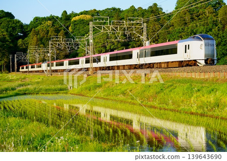The Narita Express bathed in the light of the setting sun over rice paddies in early summer. 139643690
