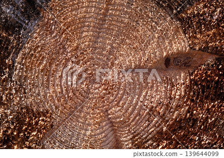 Tree stump with annual rings Tree stump with annual rings 139644099