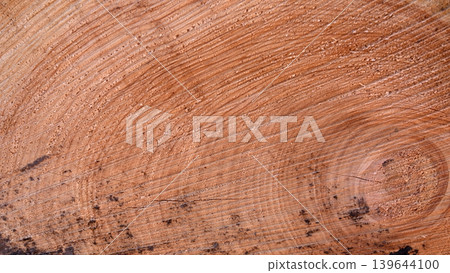 Cross-section of old wood Cross-section of old wood 139644100