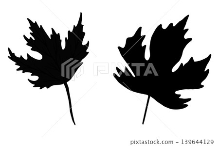 Maple leaf silhouette. Vector illustration of vegetation. Simple black hand-drawn graphic. Outline drawing of rural nature. Clipart for gardening and agriculture. Thanksgiving Day. Symbol of Canada. 139644129