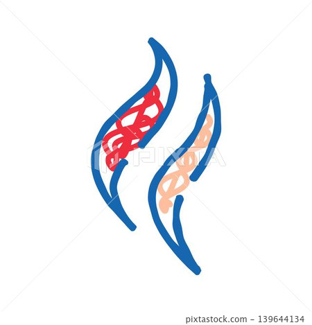 Blood vessels diagram illustrating artery and vein anatomy Blood vessels diagram illustrating artery and vein anatomy 139644134