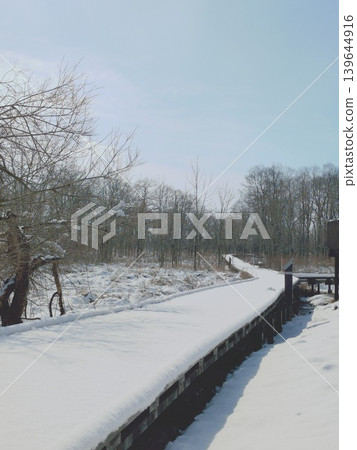 北海道釧路濕地禦寧內棧道冬季景色的留白區域,展現了廣闊的雪原和無垠的藍天。 北海道釧路濕地禦寧內棧道冬季景色的留白區域,展現了廣闊的雪原和無垠的藍天。 139644916