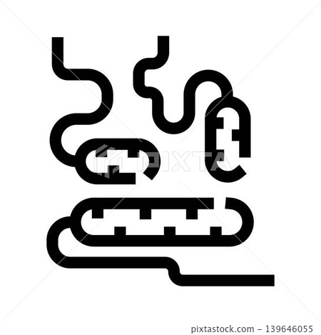 Human digestive system gut intestines anatomy icon Human digestive system gut intestines anatomy icon 139646055