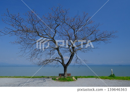 Lake Biwa and that bench 139646363
