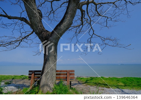Lake Biwa and that bench 139646364