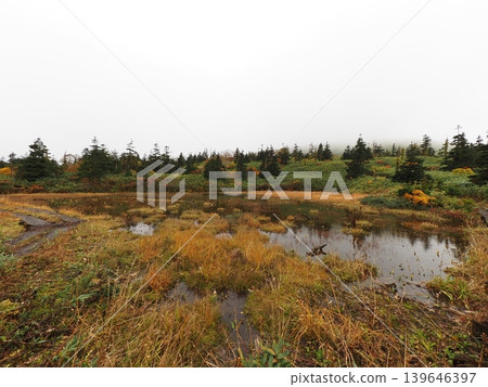 Mitsuishi Mountain in early October (Shizukuishi Town and Hachimantai City, Iwate Prefecture) 139646397