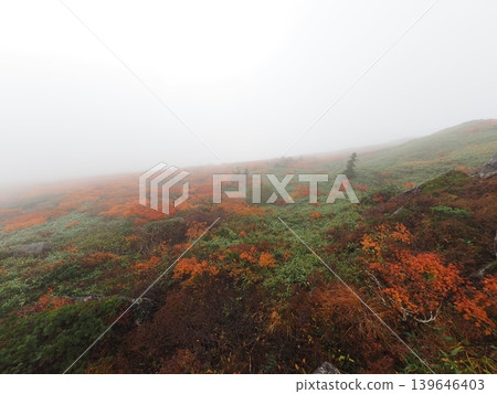 Mitsuishi Mountain in early October (Shizukuishi Town and Hachimantai City, Iwate Prefecture) 139646403