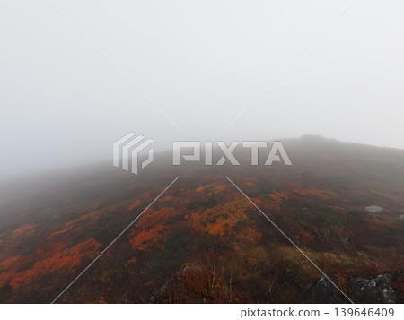 Mitsuishi Mountain in early October (Shizukuishi Town and Hachimantai City, Iwate Prefecture) 139646409