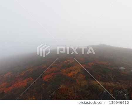 Mitsuishi Mountain in early October (Shizukuishi Town and Hachimantai City, Iwate Prefecture) Mitsuishi Mountain in early October (Shizukuishi Town and Hachimantai City, Iwate Prefecture) 139646410