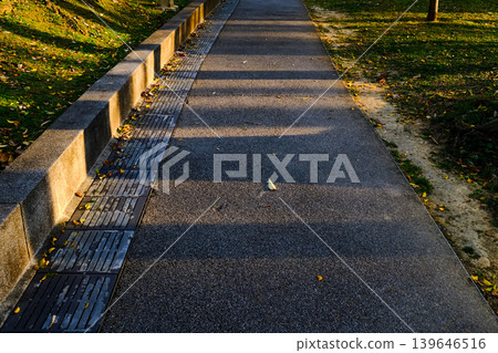 Close up of Xiangshan Hiking Trail with sunlight during the sunset. A natural trail near downtown Taipei, also known as Elephant Mountain. Travel and nature scene. 139646516