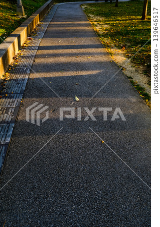 Close up of Xiangshan Hiking Trail with sunlight during the sunset. A natural trail near downtown Taipei, also known as Elephant Mountain. Travel and nature scene. 139646517