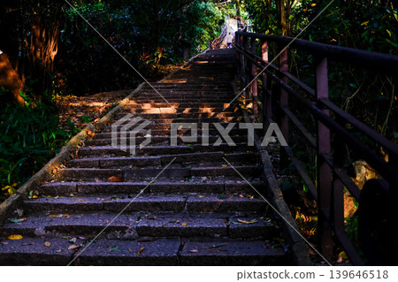 Close up of Xiangshan Hiking Trail with sunlight during the sunset. A natural trail near downtown Taipei, also known as Elephant Mountain. Travel and nature scene. Close up of Xiangshan Hiking Trail with sunlight during the sunset. A natural trail near downtown Taipei, also known as Elephant Mountain. Travel and nature scene. 139646518