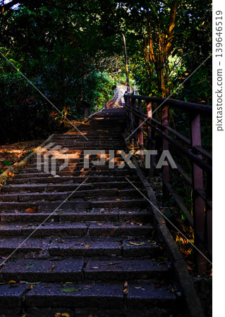 Close up of Xiangshan Hiking Trail with sunlight during the sunset. A natural trail near downtown Taipei, also known as Elephant Mountain. Travel and nature scene. Close up of Xiangshan Hiking Trail with sunlight during the sunset. A natural trail near downtown Taipei, also known as Elephant Mountain. Travel and nature scene. 139646519