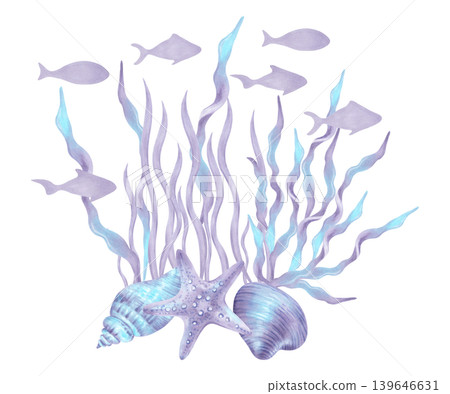 Composition with seaweed, starfish and a shell with fish. Marine summer watercolor illustration with seabed elements. Hand drawn isolated art. Suitable for childrens design, travel and packaging. Composition with seaweed, starfish and a shell with fish. Marine summer watercolor illustration with seabed elements. Hand drawn isolated art. Suitable for childrens design, travel and packaging. 139646631