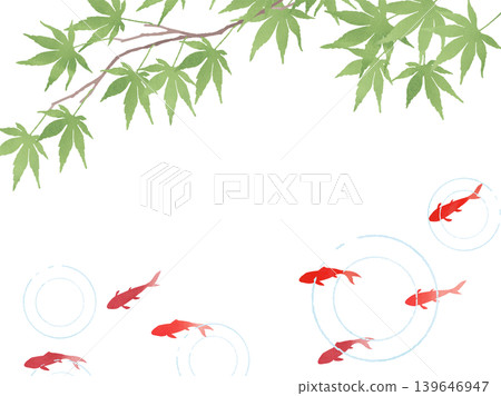 Japanese-style background illustration of blue maple leaves and goldfish 2 Japanese-style background illustration of blue maple leaves and goldfish 2 139646947